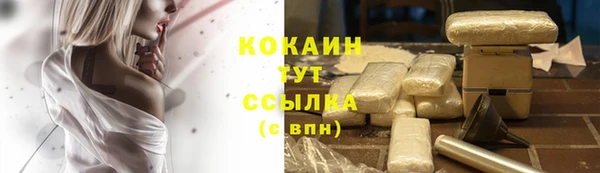гашик Гусиноозёрск