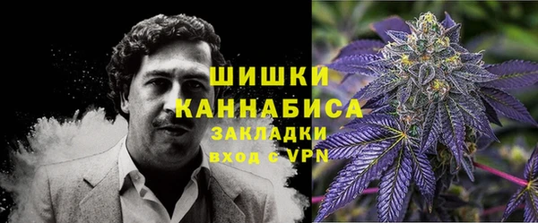 ешки Дмитриев